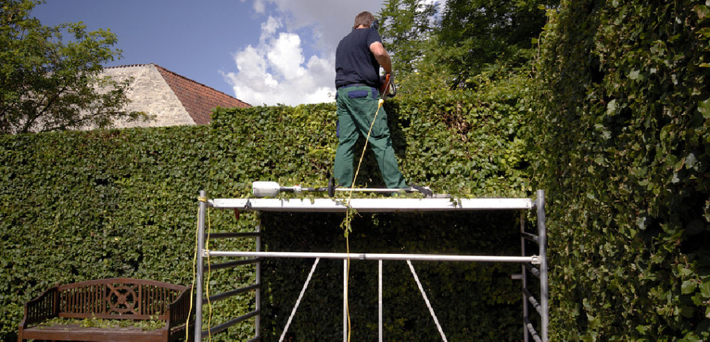 Hedge Cutting Worcester Worcestershire