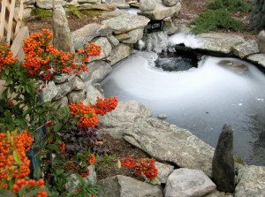 Garden Pond Water Features Worcester